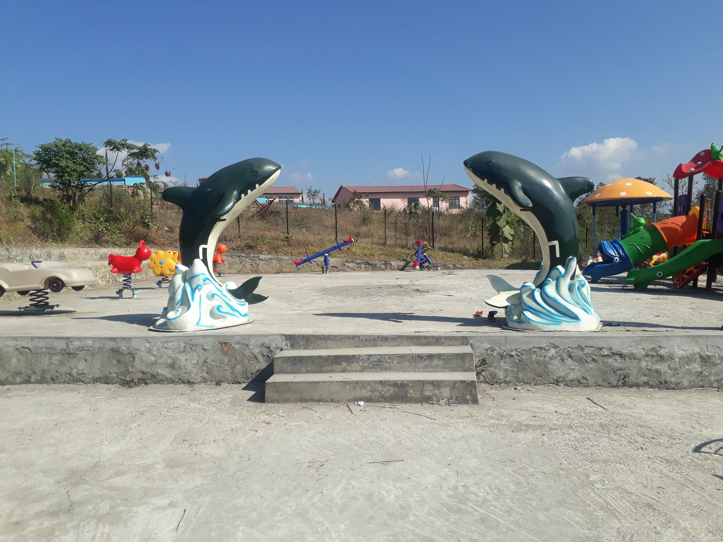 फन पार्कमा डल्फिन माछा
