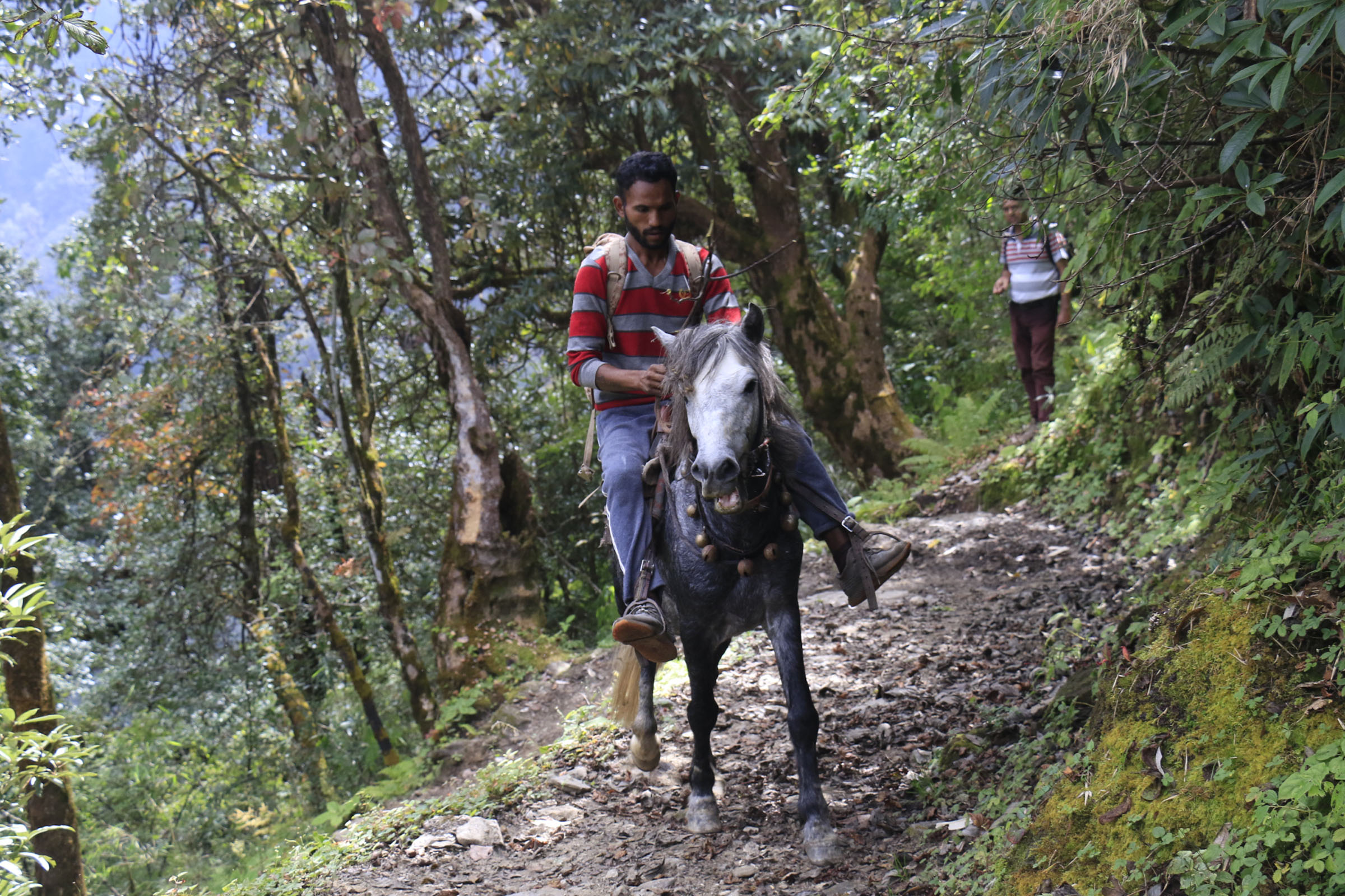 खप्तड राष्ट्रिय निकुञ्जमा स्याल
