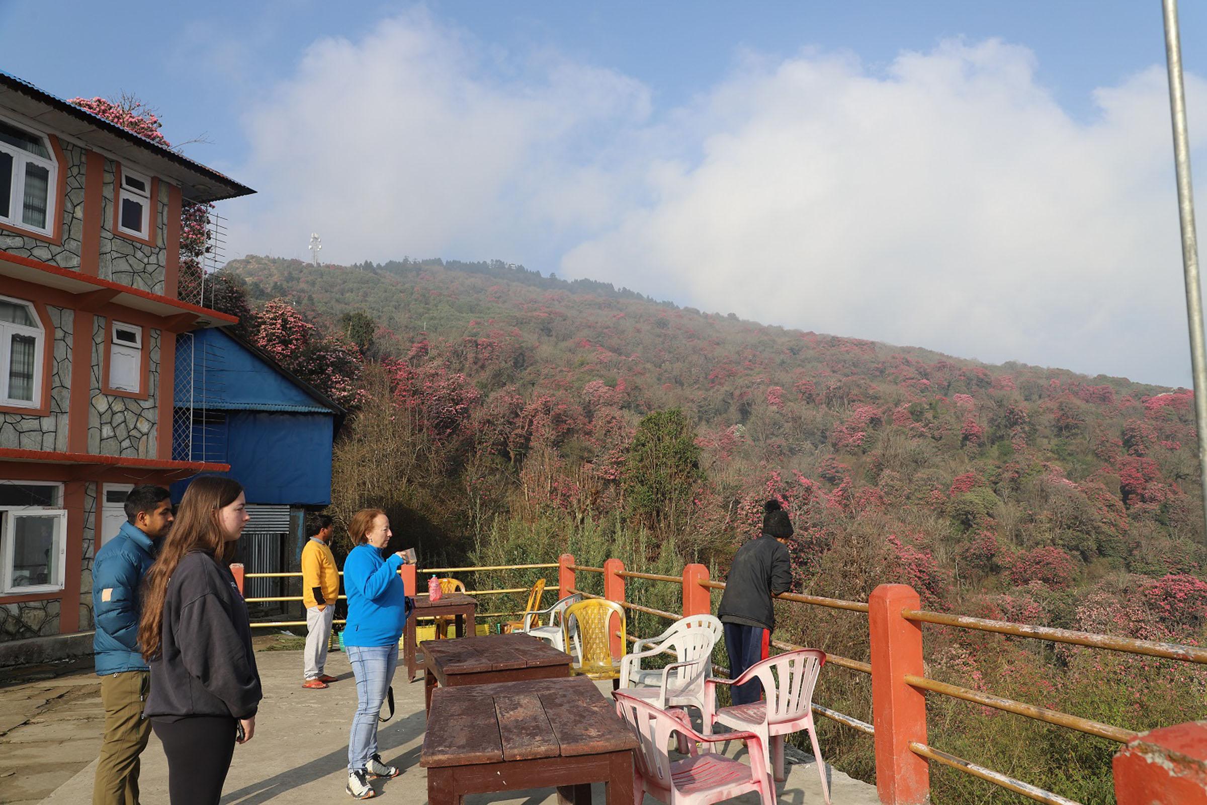 लालीगुराँस हेर्दै पर्यटक