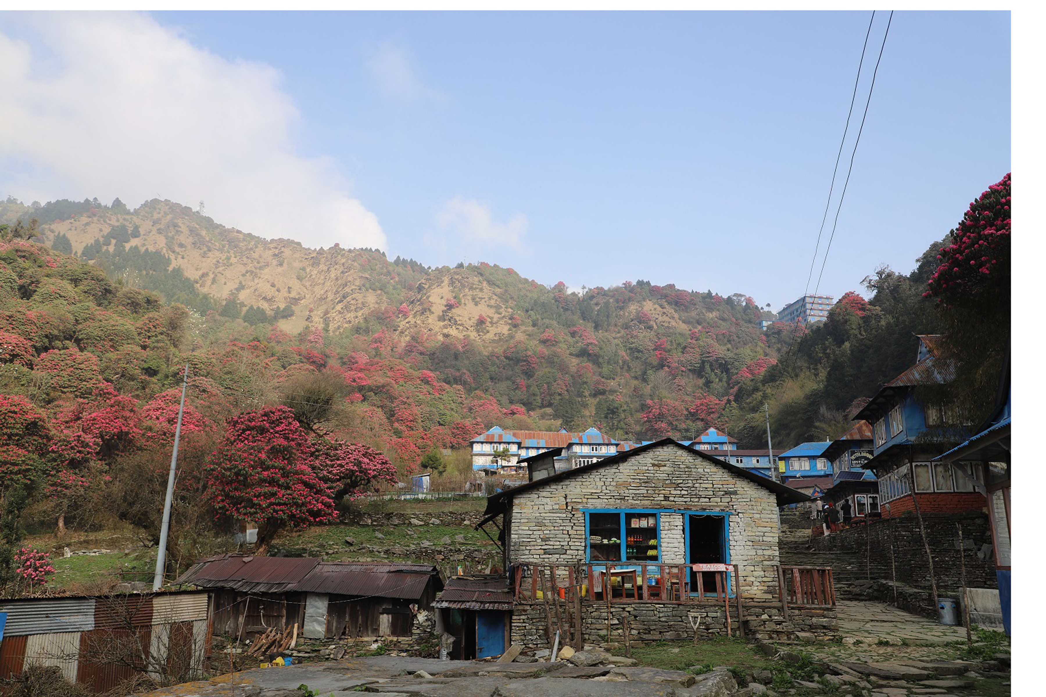 प्राकृतिक छटा