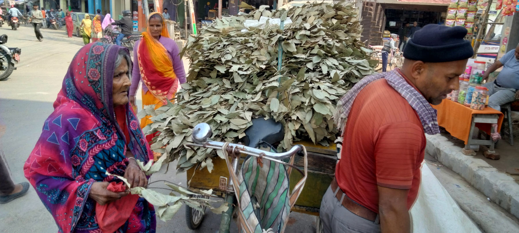 तेजपात बिक्री