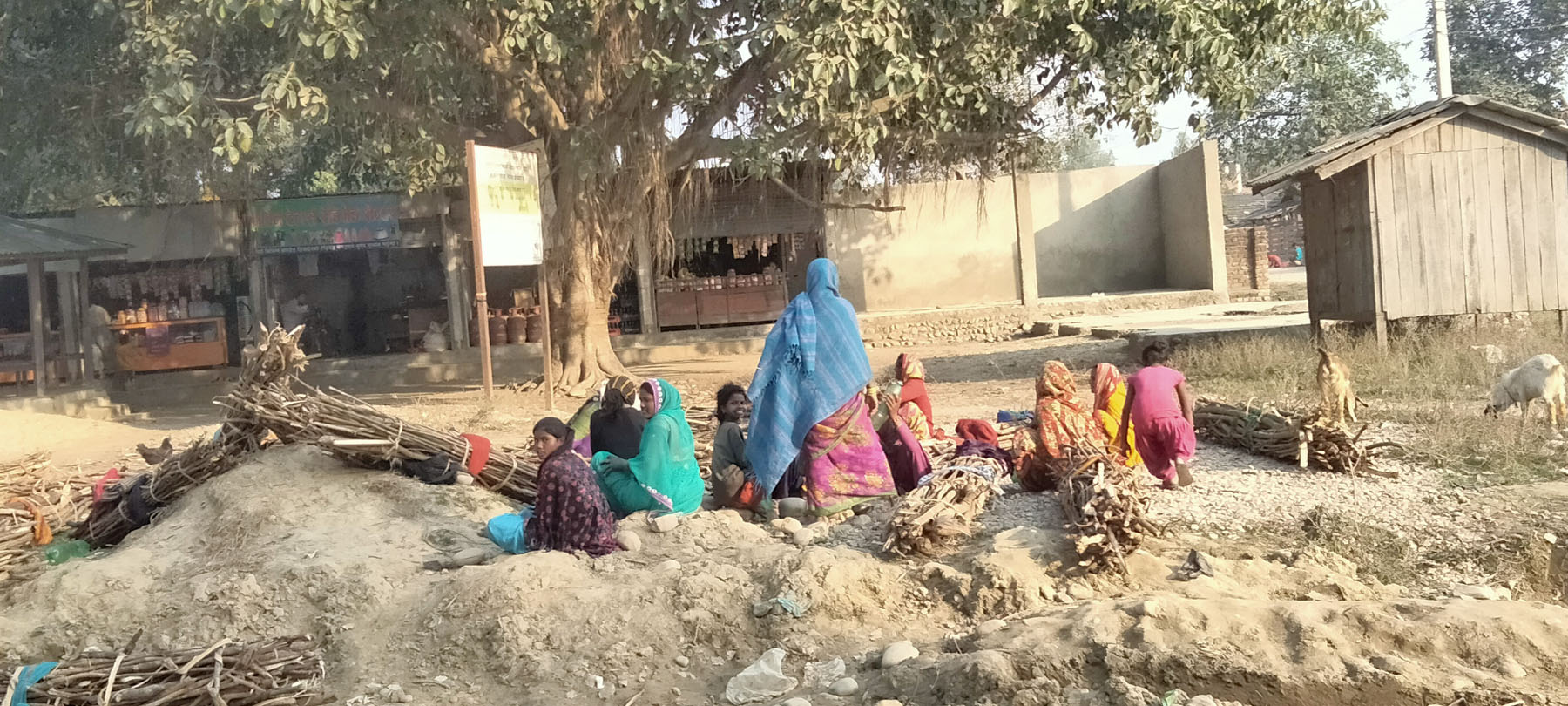थकाई मार्दै