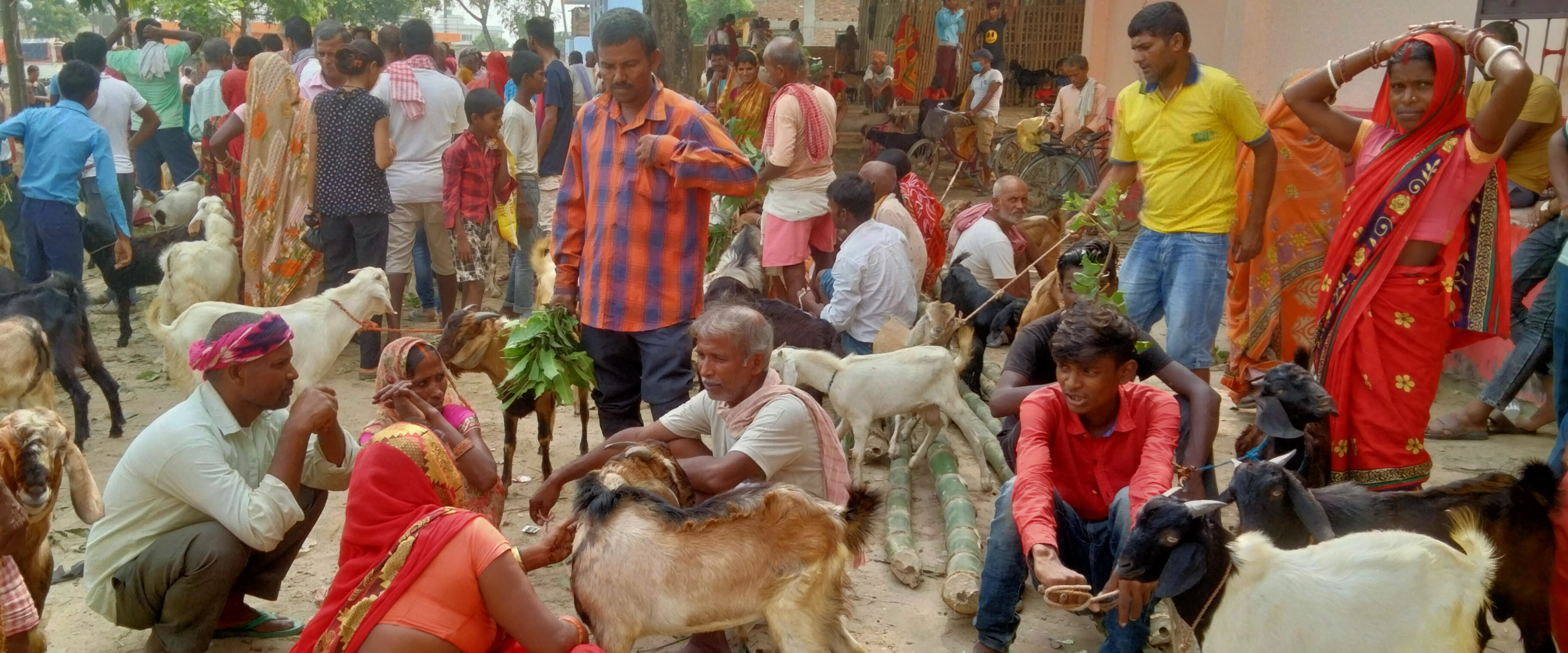 बिक्रीका लागि हटियामा राखिएका खसीबोका