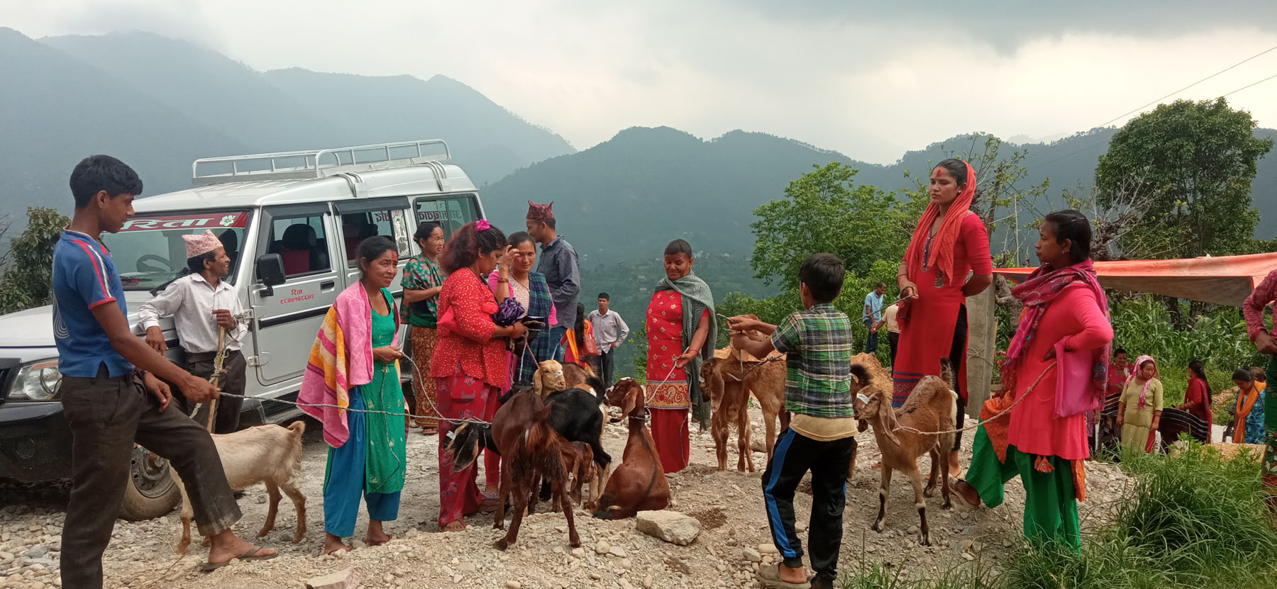२१ जना महिलालाई बाख्रा वितरण