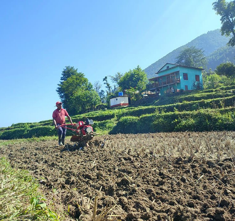 हाते ट्रयाक्टरले खेत जोत्दै किसान
