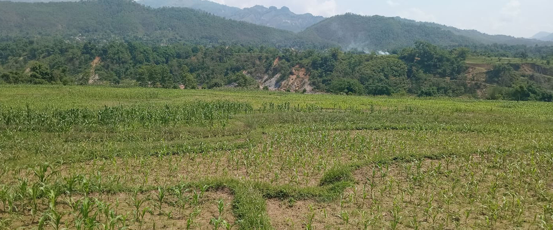 मकैबाली