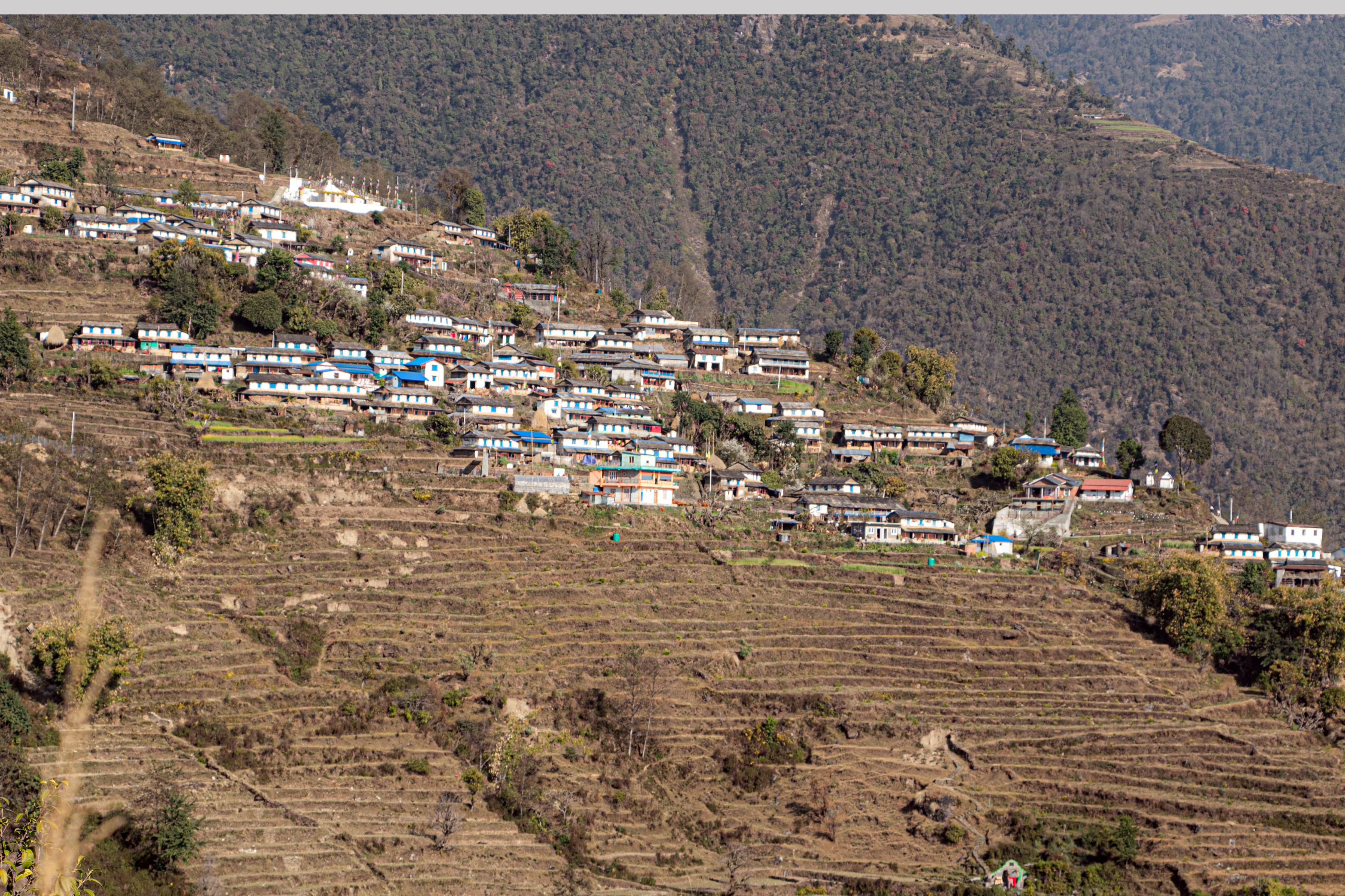 काठको लाप्को राखेर सवारीसाधन सञ्चालन