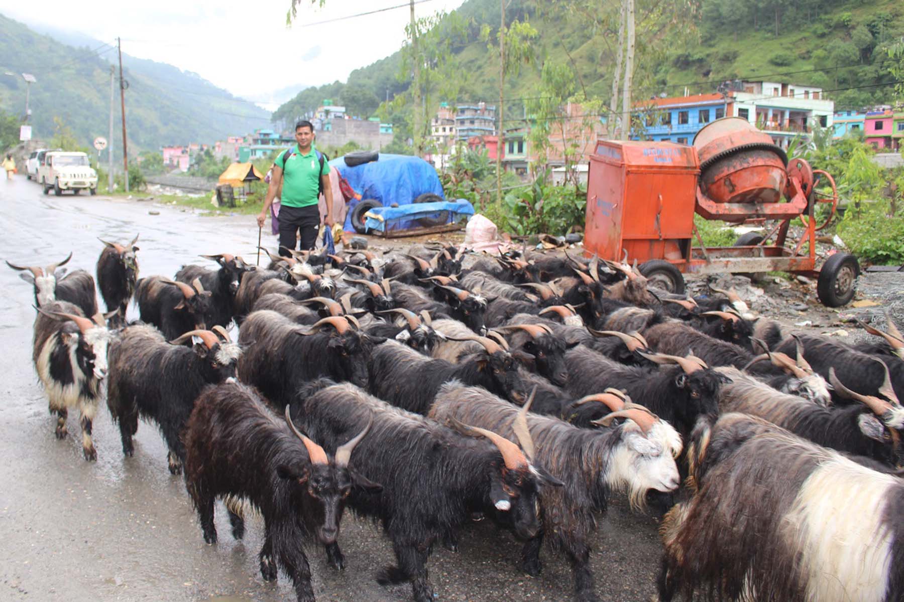 बेनीमा आइपुगे च्याङ्ग्रा