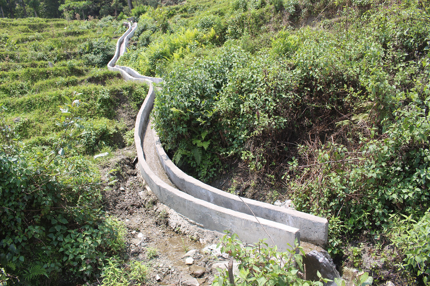 सिँचाइको नहर