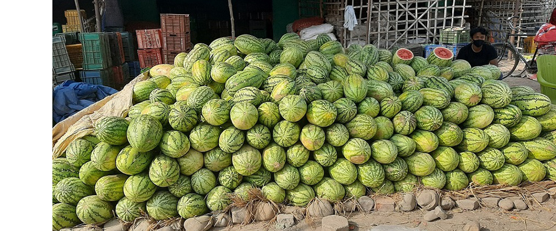 बिक्रीका लागि राखिएका खरभुजा