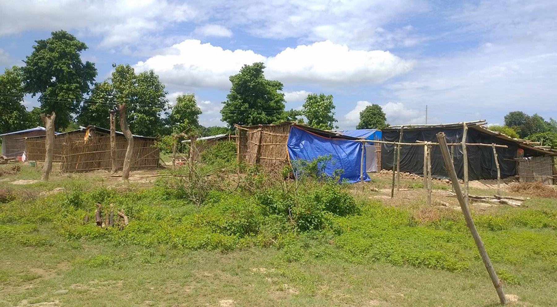 विस्थापित परिवारले बस्नका लागि बनाएको टहरा