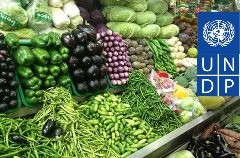 राजधानीमा तरकारी बजार खाेल्न पनि संयुक्त राष्ट्रसंघकाे भर,  १५ वटा सहकारी तरकारी तथा फलफुल बजार खुल्दै