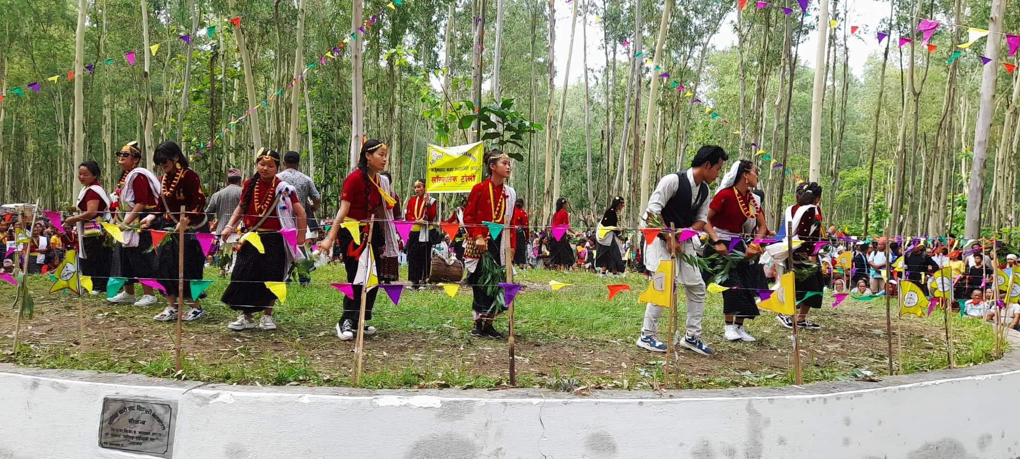 नृत्य गर्दे कलाकार टोली