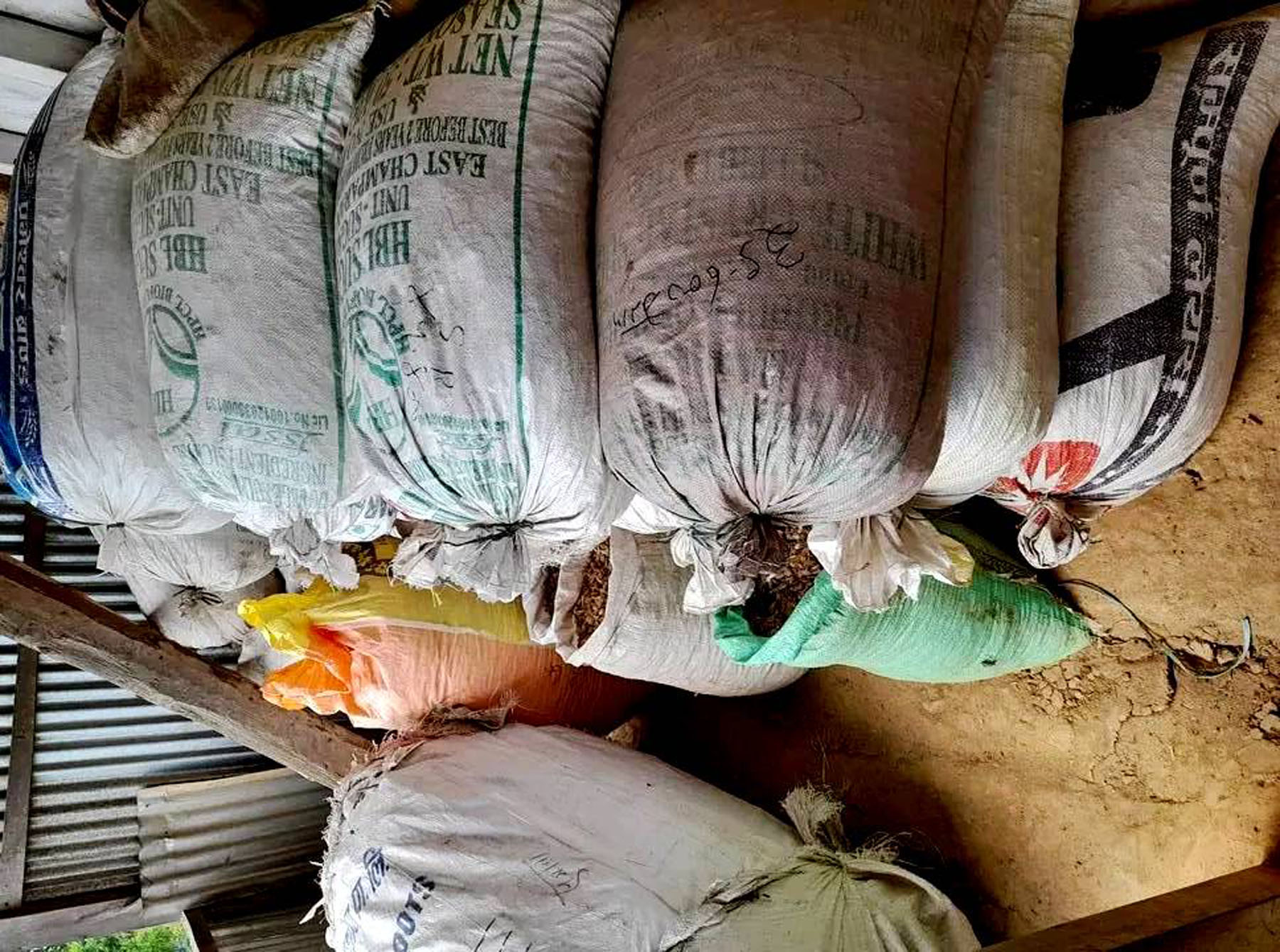 भण्डारण गरिएको वन लसुन