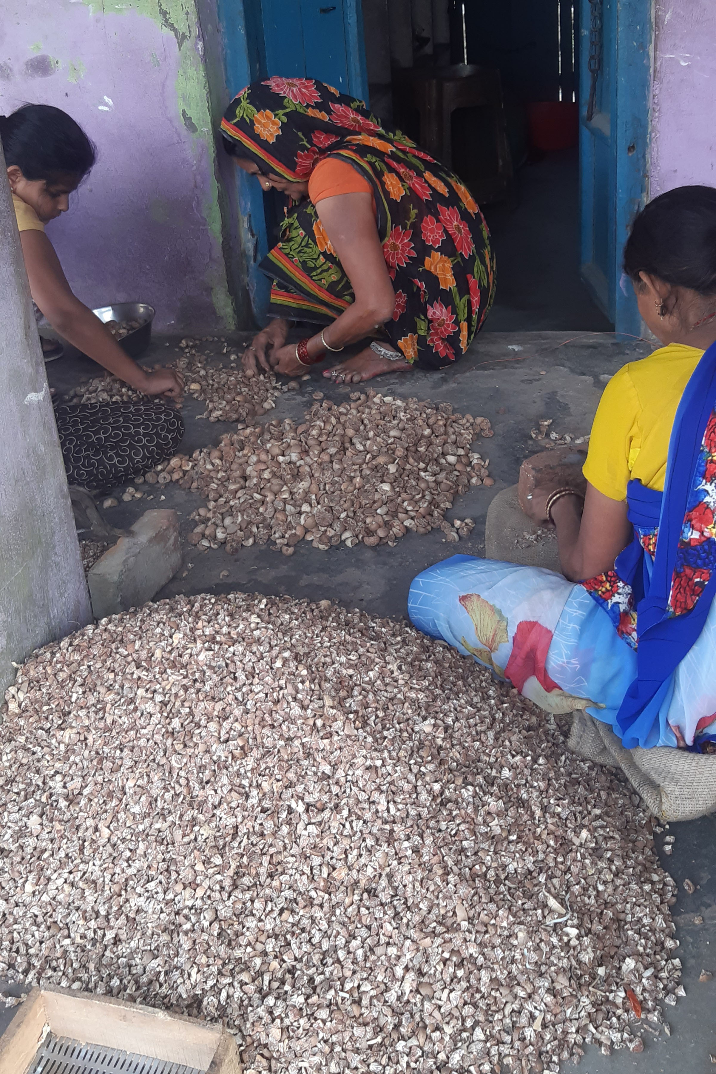 सुपारी काट्दै महिला
