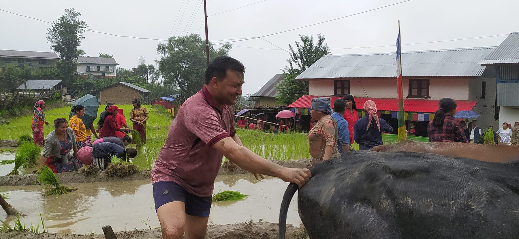 रोपाइँ रमाउँदै किसान