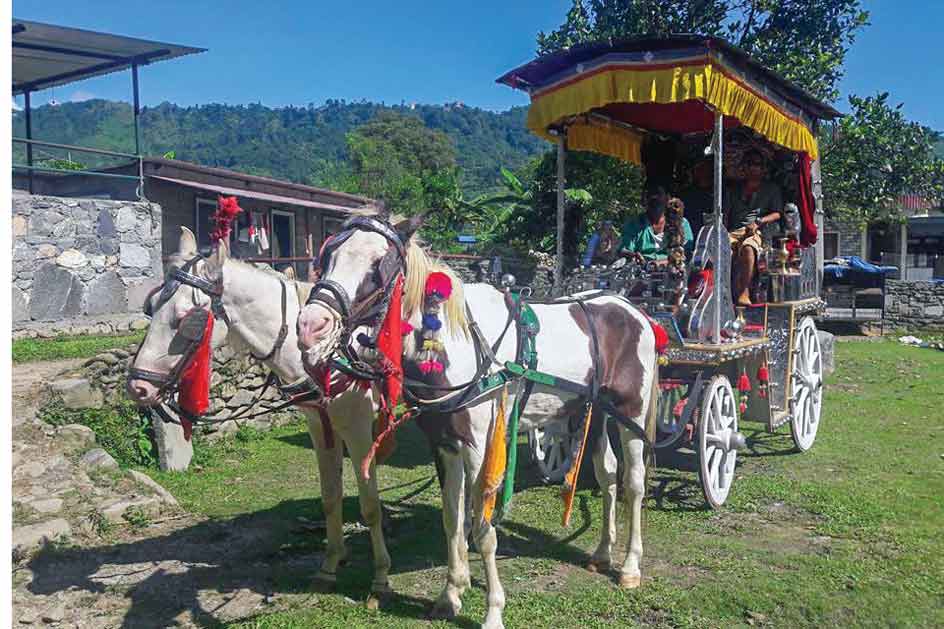भ्रमण वर्षमा पर्यटकलाई बग्गीमा राखेर नगर परिक्रमा गराइने