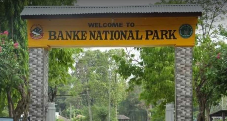 राष्ट्रिय निकुञ्जमा टाइम कार्ड र आकाशे पुल निर्माण