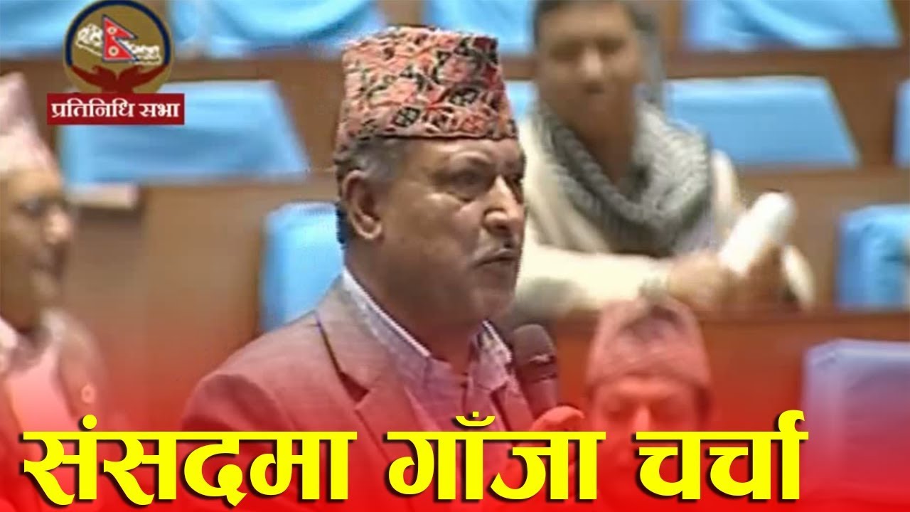 गाँजामाथिको प्रतिबन्ध तत्काल हटाउन सांसद खतिवडाको माग