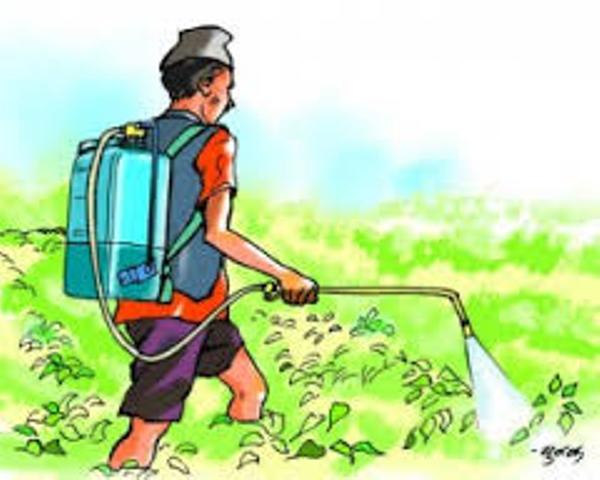 विषादी प्रयोगमुक्त सप्ताह शुरु