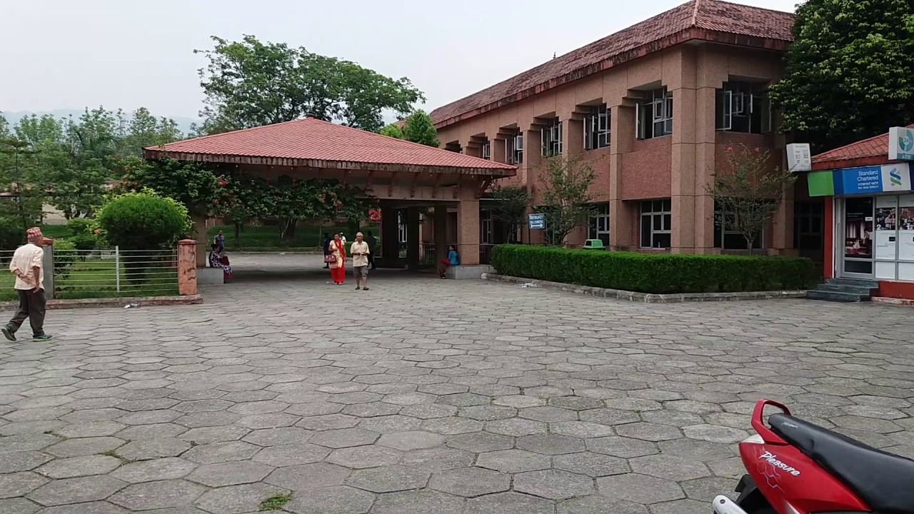 बिपी कोइराला स्वास्थ्य प्रतिष्ठानमा हेल्प डेस्क स्थापना