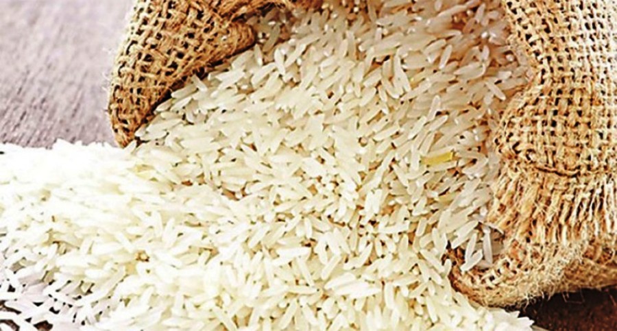नेपालको १० लाख हेक्टर जमीन बाँझो, प्रतिमहिना २ अर्ब बढीको चामल आयात
