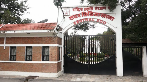 चिडियाखानामा अवलोकनकर्ता उत्साहित