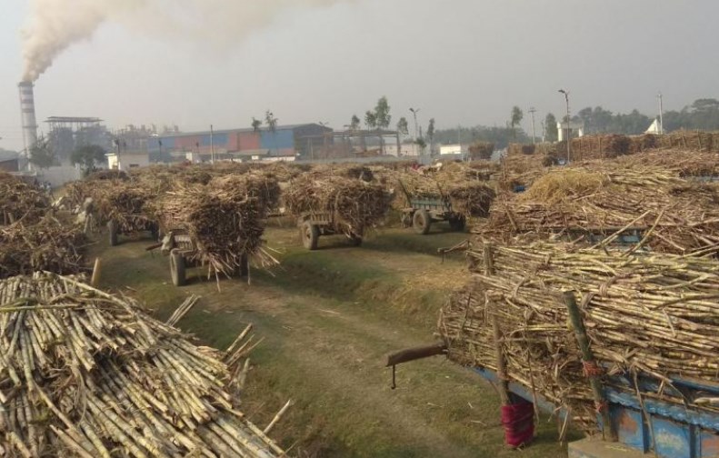 ५८ लाख क्विन्टलसम्म उखु पेलेर कीर्तिमान बनाएको चिनी उद्योग बन्द हुने अवस्थामा !