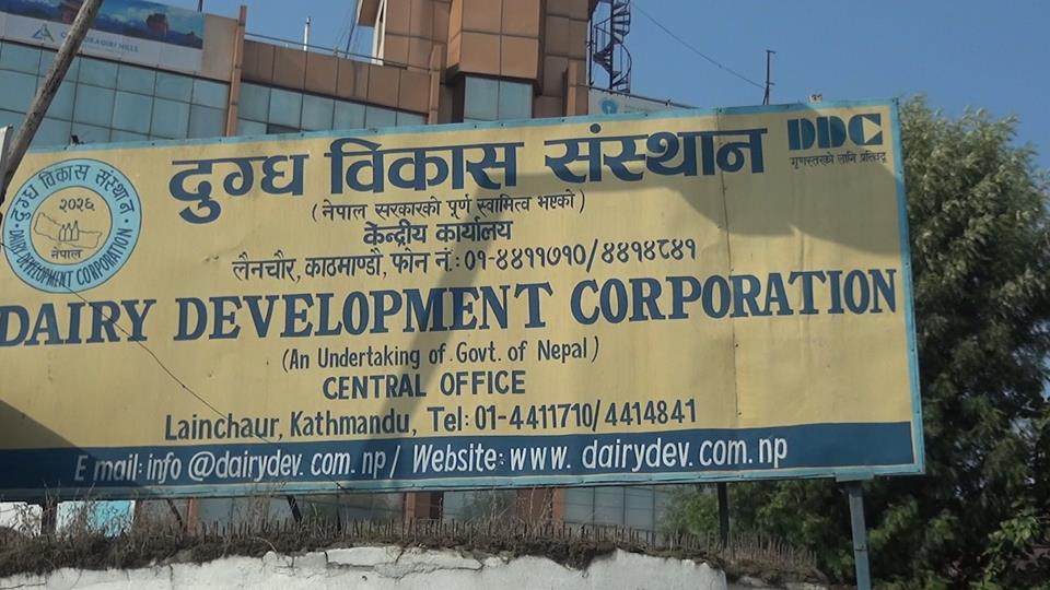 सरकारले डीडीसीलाई दियो २० करोड रुपैयाँ ऋण