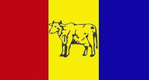 राप्रपा अध्यक्षत्रयद्वारा पदबहाली