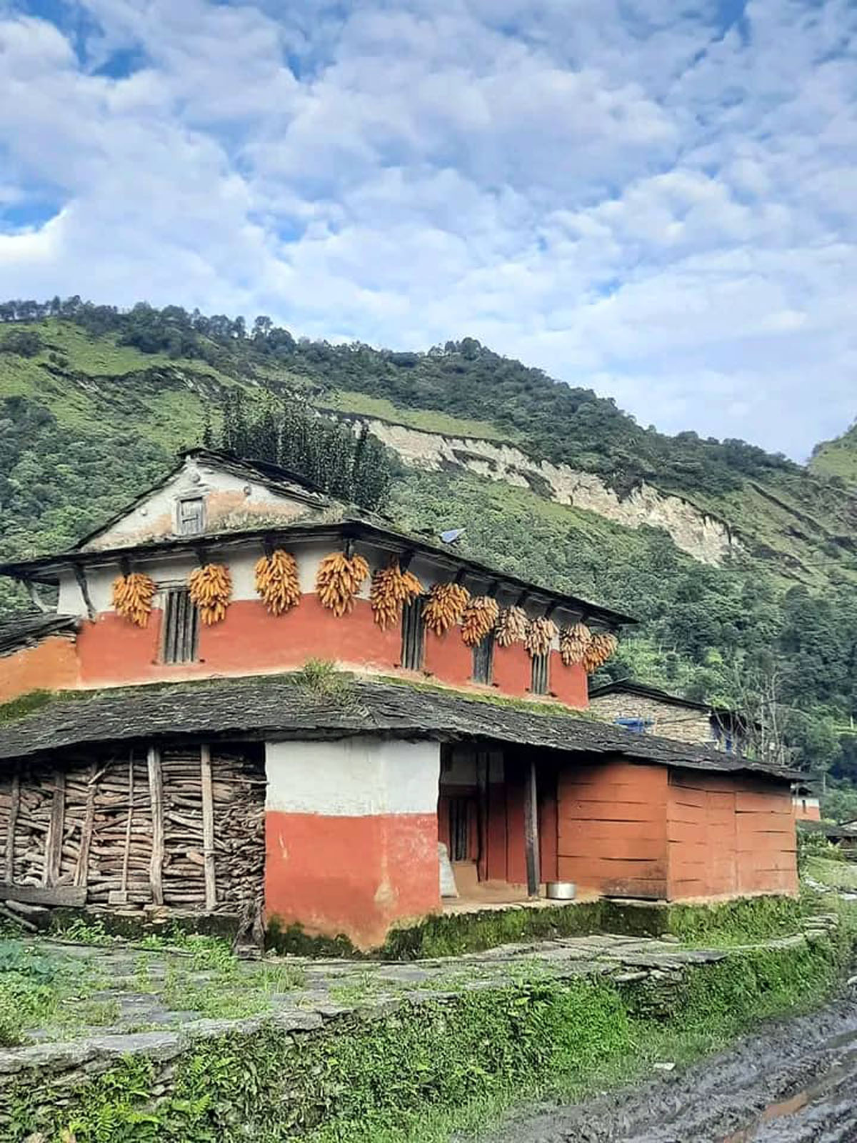 मकै भण्डारण