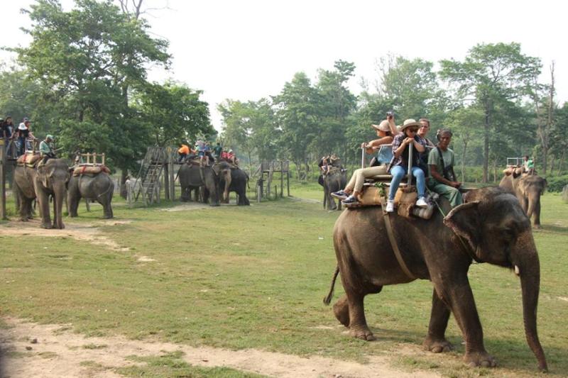 सौराहामा अपेक्षाभन्दा बढी पर्यटक
