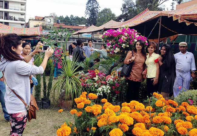 गोदावरी पुष्प मेला : ३ अर्ब बराबरको कारोबार हुने