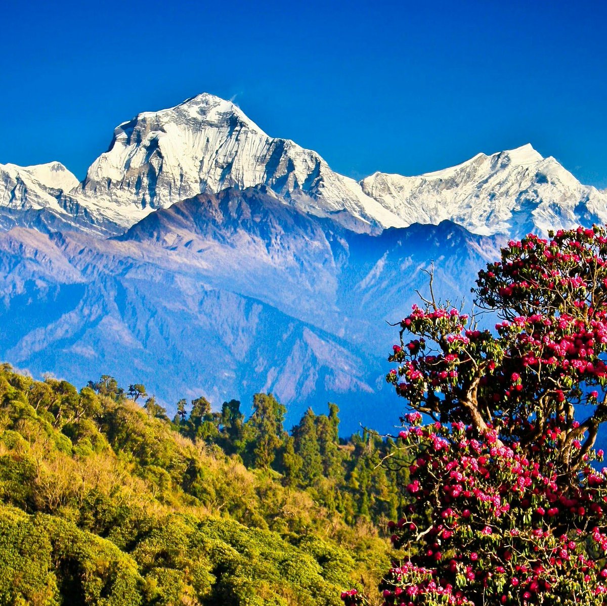 खिस्स हाँसेका हिमाल !