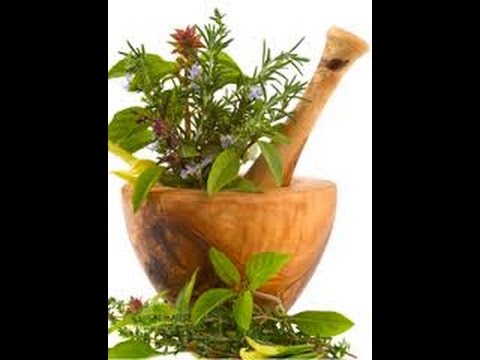 आयुर्वेदिक उपचार पद्धतितर्फ बढ्दो आकर्षण