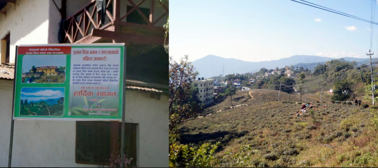इतिहास बोकेको इलामको चिया कारखाना जीर्ण बन्दै