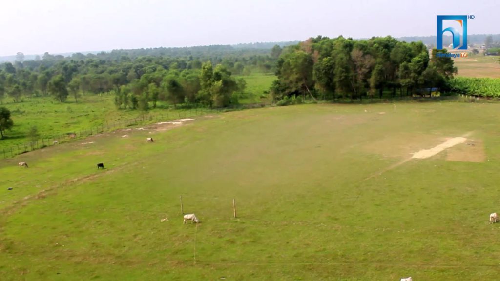 खुलामञ्च स्तरोन्नति अलपत्र