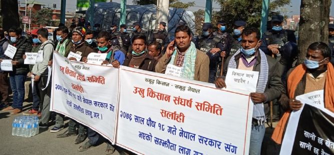 १५ दिनदेखि उखु किसानको प्रदर्शन, भुक्तानी नपाउँदा सम्म आन्दोल जारी