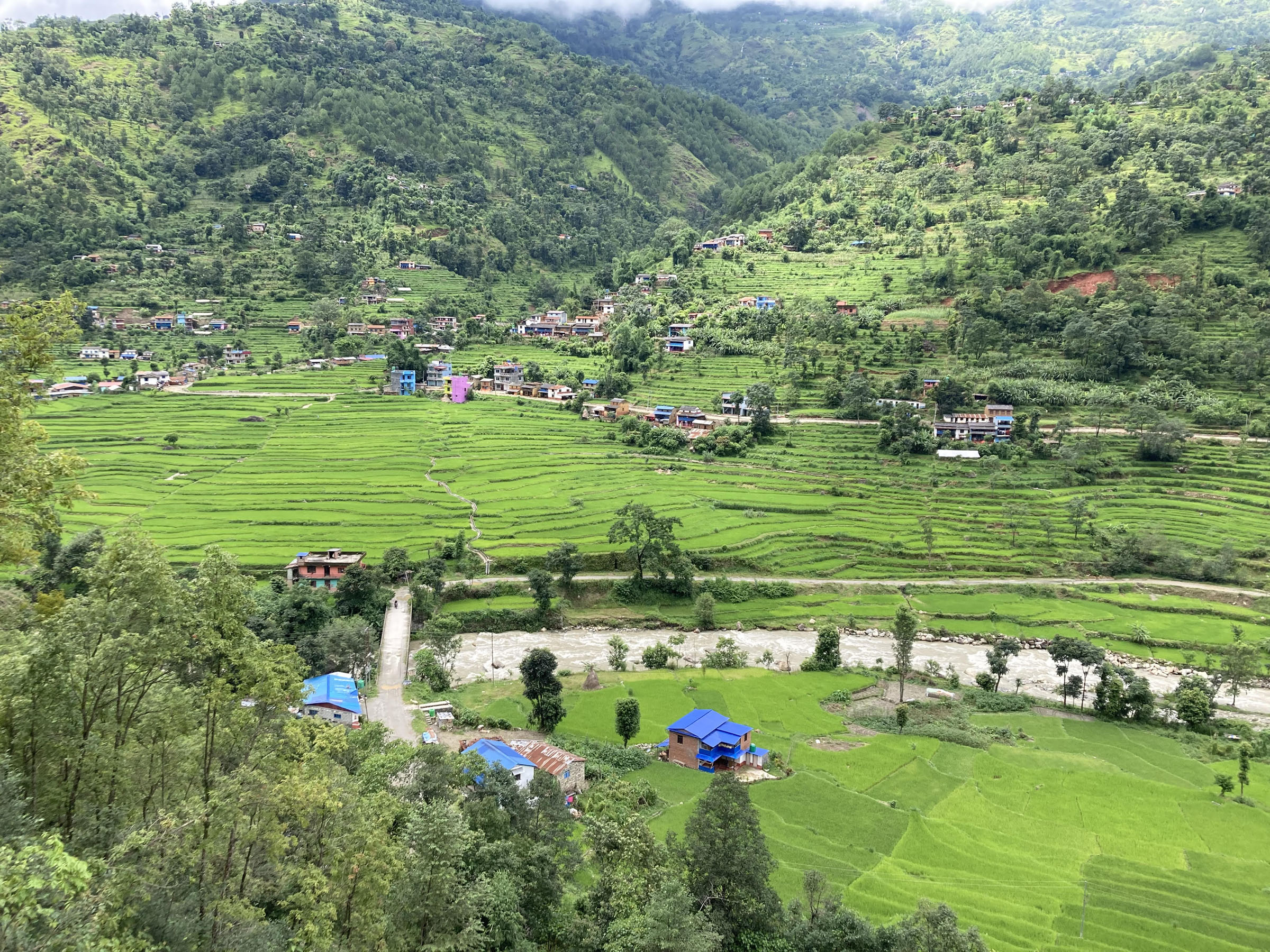 धान फाँट