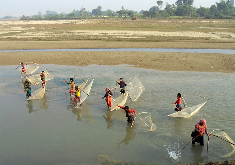 वैकल्पिक पेशातर्फ माझी, मुसहर र बोटे समुदाय