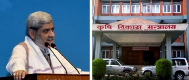 किसानको पक्षमा काम नगर्ने कृषि मन्त्रालय खारेज गरौ : सांसद त्रिपाठी