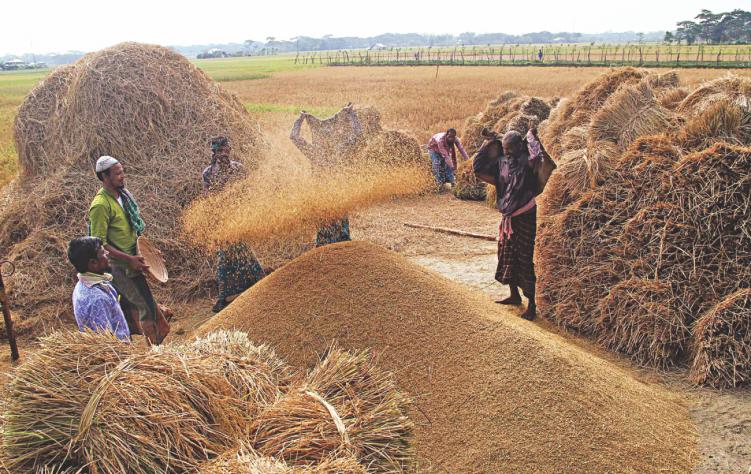 धान बेच्न किसानको भेषमा व्यापारी
