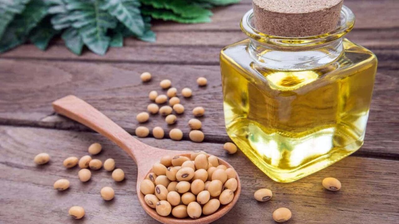 सोयाबिन तेलको निर्यात बढ्दै, मङ्सिरसम्ममा कति ?