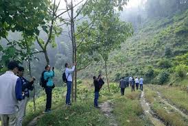 ताप्लेजुङको पर्यटकीय पदमार्ग मासिँदै