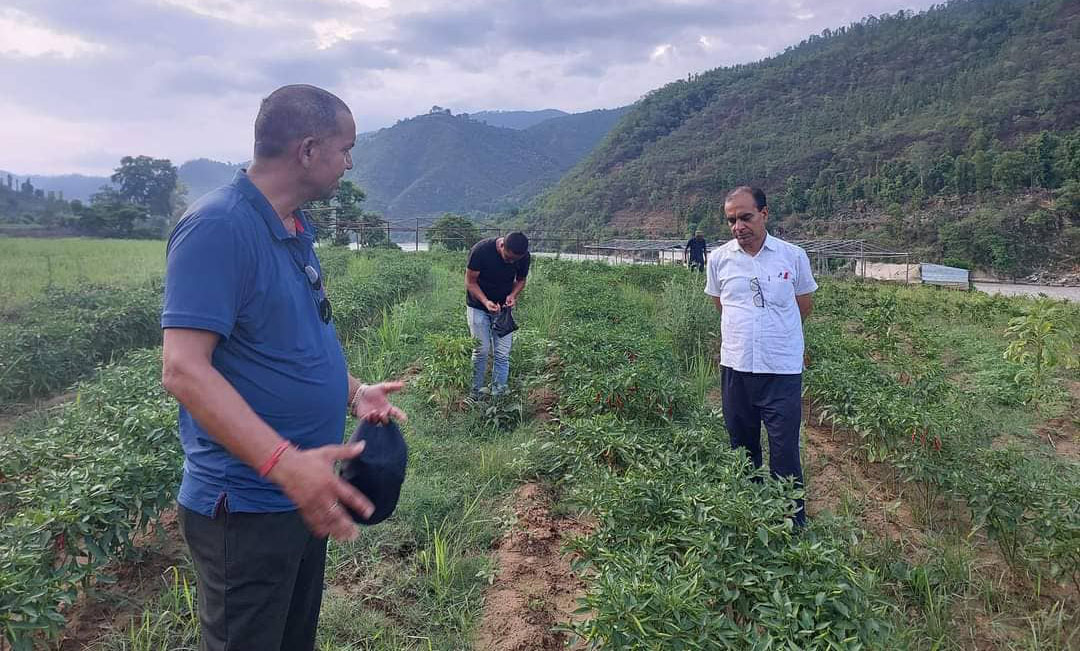 तरकारी खेती अनुगमन गर्दै