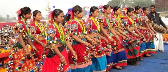 भ्रमण वर्षमा थारू र अवधीनाच हेर्न बर्दिया जाने की?