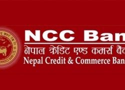 नेपाल क्रेडिट एण्ड कर्मश बैकंको कार्यकारी अधिकृतमा अर्याल नियुक्त