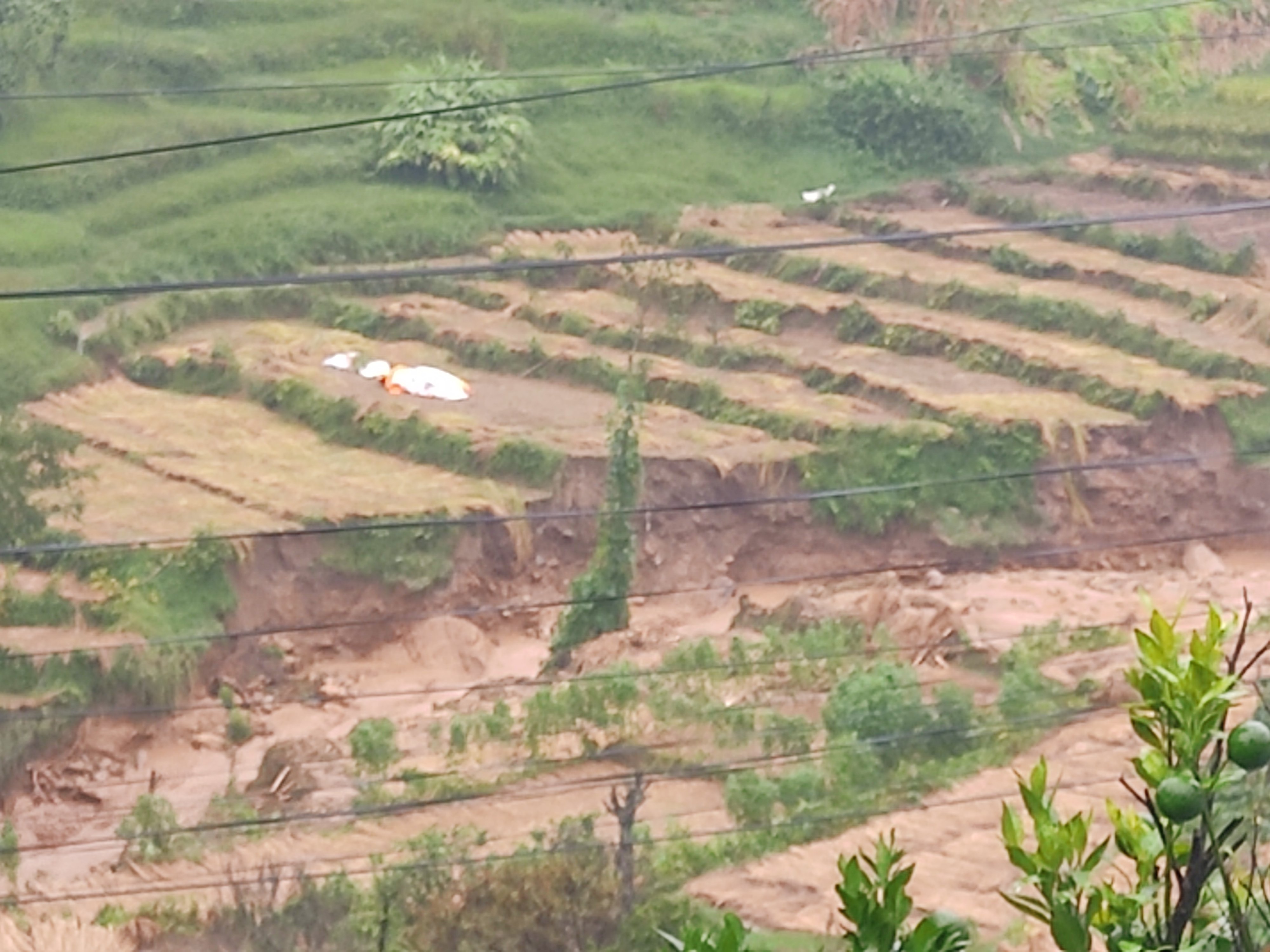 पनौतिमा ६ जनाको मृत्यु, सडक र सञ्चार सम्पर्क विच्छेद