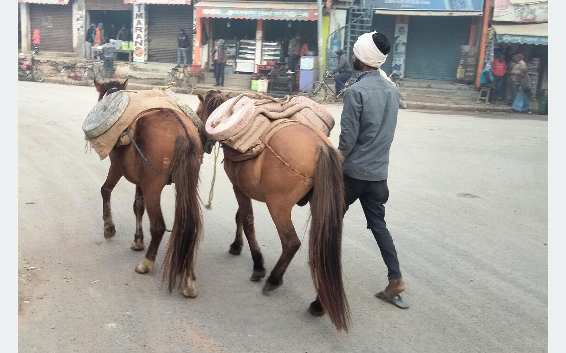 घोडामा जाँतो र सिलौटा बोकेर गाउँमा बेच्न जाँद