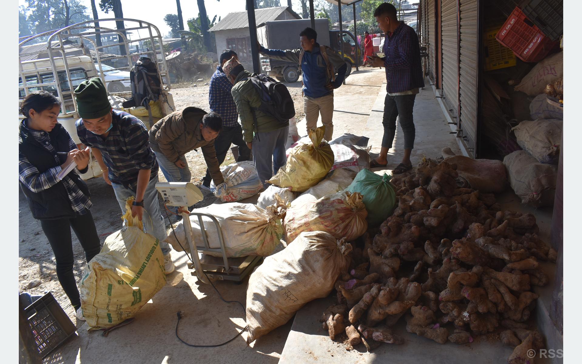 किसानलाई तरुल खन्न र बिक्री गर्न भ्याइ नभ्याइ